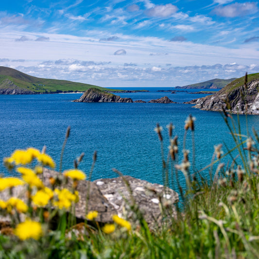 Scenic view of a coastal landscape with blue water, green hills, and yellow flowers.