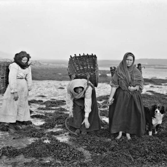 Carraigín - Skin Repair Balm