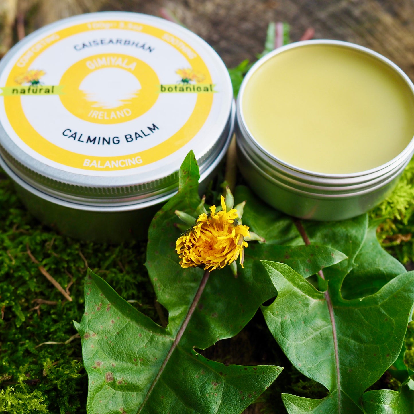 Calming balm in a tin surrounded by green leaves and a dandelion flower on a wooden surface.
