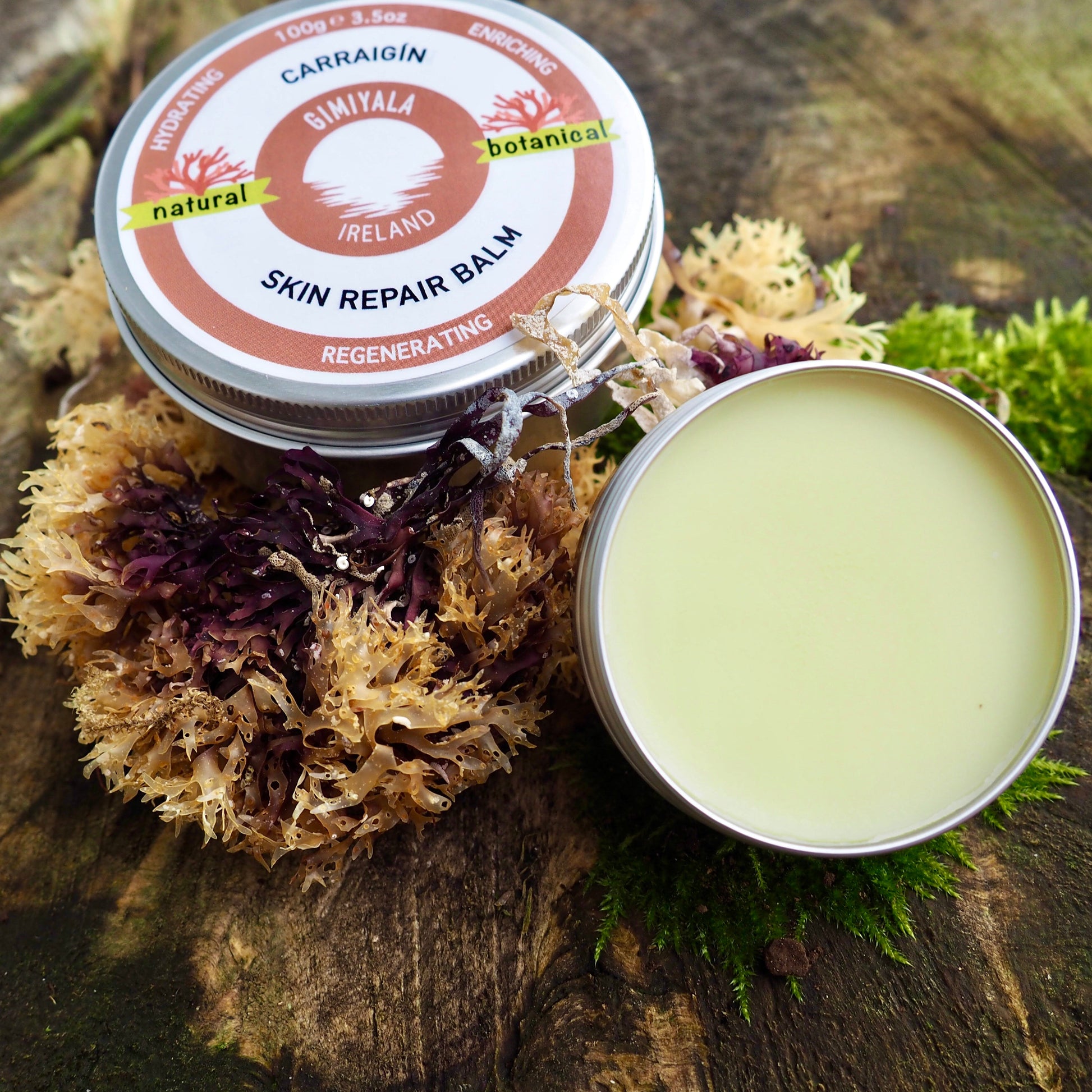 Skin repair balm in a tin on a natural background with seaweed and moss.