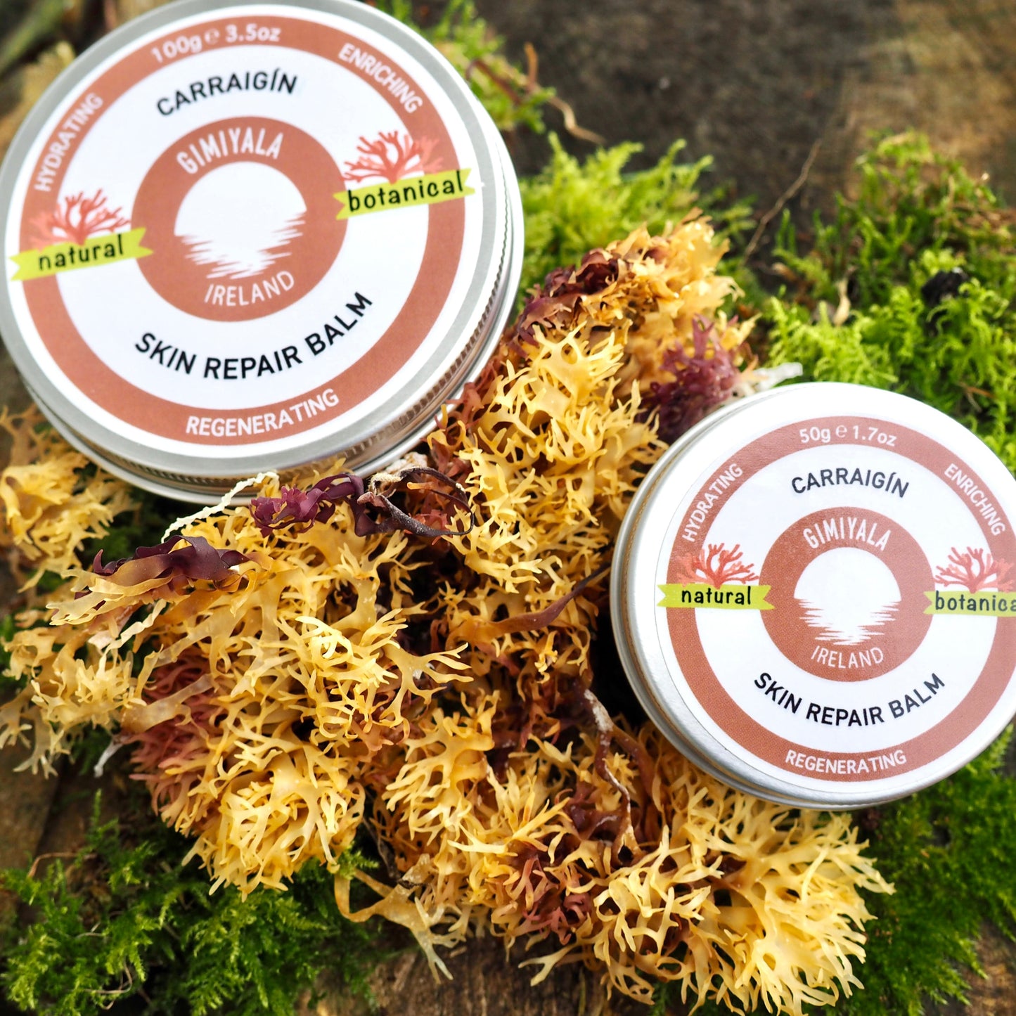 Two tins of Carraigin Gimiyala Skin Repair Balm on a natural background with moss and plants.